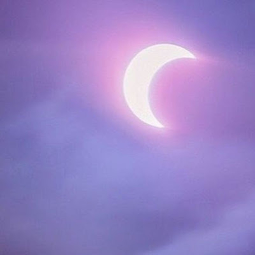 Meet your Posher, Leila